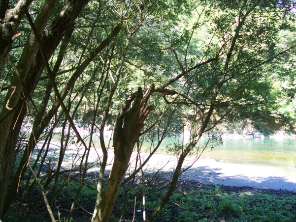  Image name: Fiume10.jpg 
 width: 601 pixel 
 height: 452 pixel 
 Size: 358505 bytes 
 Click to enlarge 